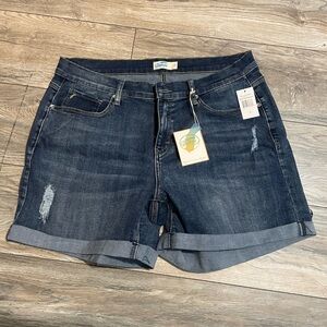 Glamsia woman’s plus size 18 Jean shorts